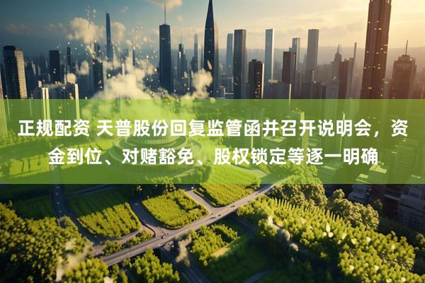 正规配资 天普股份回复监管函并召开说明会，资金到位、对赌豁免、股权锁定等逐一明确