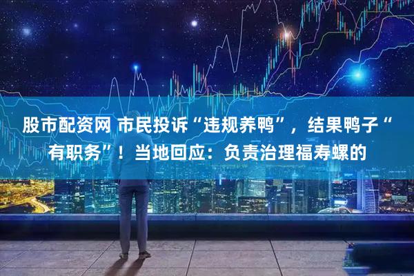 股市配资网 市民投诉“违规养鸭”，结果鸭子“有职务”！当地回应：负责治理福寿螺的